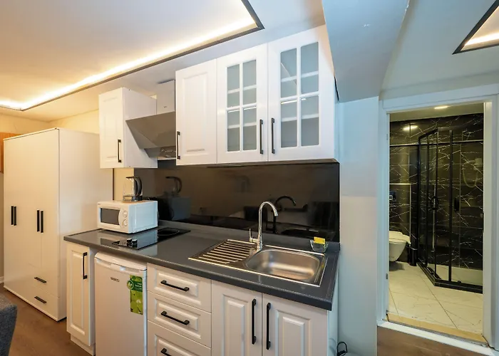 Aiza Hotel apartamentowy Stambuł